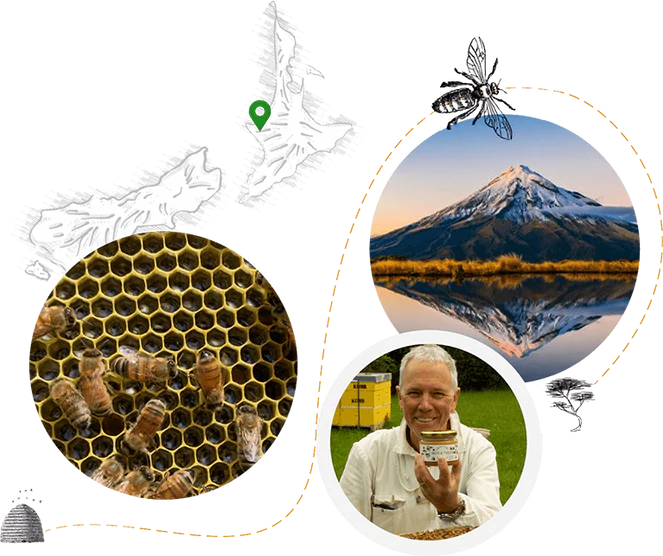 Pure Gold From New Zealand